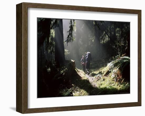 Backpackers in Steamy Light, Queets Vall, Olympic National Park, Washington State, USA-Aaron McCoy-Framed Photographic Print