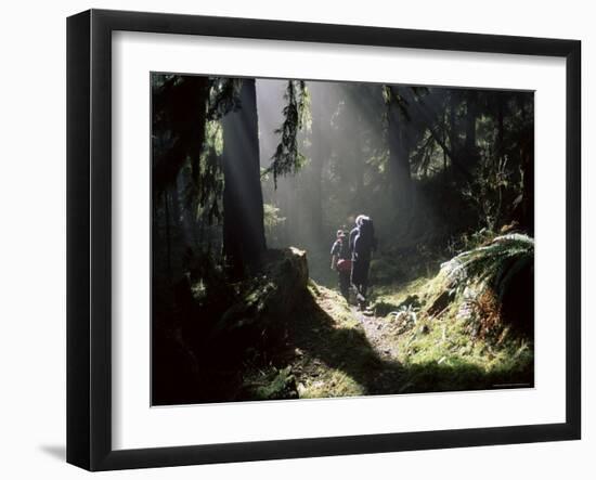 Backpackers in Steamy Light, Queets Vall, Olympic National Park, Washington State, USA-Aaron McCoy-Framed Photographic Print