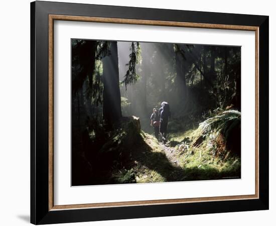 Backpackers in Steamy Light, Queets Vall, Olympic National Park, Washington State, USA-Aaron McCoy-Framed Photographic Print