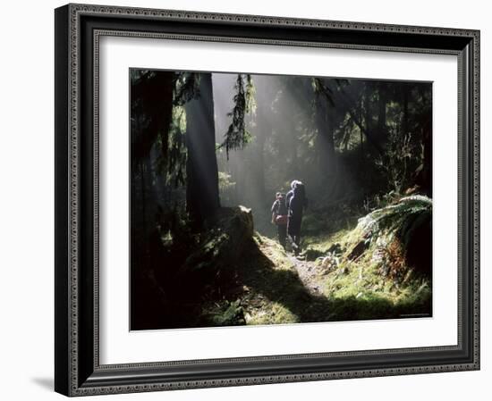Backpackers in Steamy Light, Queets Vall, Olympic National Park, Washington State, USA-Aaron McCoy-Framed Photographic Print