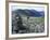 Backpacking on Gulfside Trail, Appalachian Trail, Mt. Washington, New Hampshire, USA-Jerry & Marcy Monkman-Framed Photographic Print