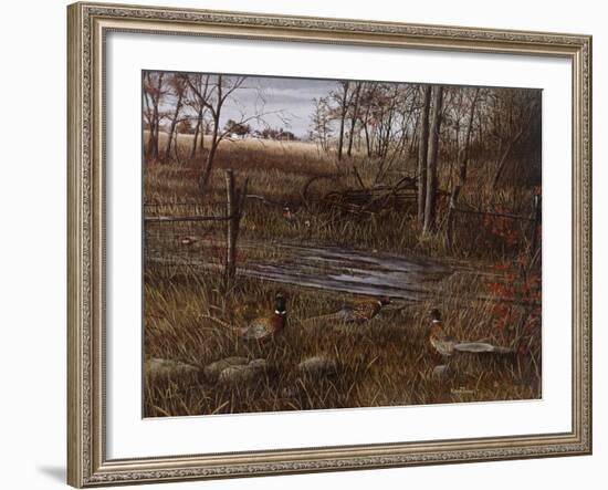 Backroad Gathering-Kevin Daniel-Framed Art Print