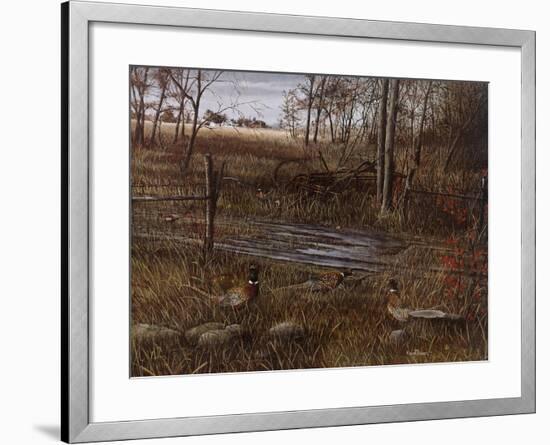 Backroad Gathering-Kevin Daniel-Framed Art Print