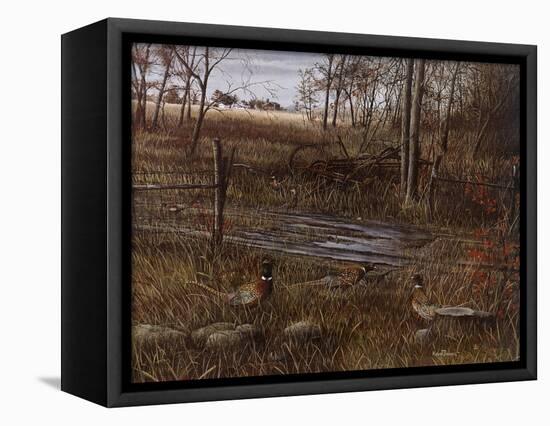 Backroad Gathering-Kevin Daniel-Framed Stretched Canvas