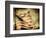 Backslide-Stephen Arens-Framed Photographic Print