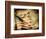 Backslide-Stephen Arens-Framed Photographic Print