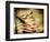 Backslide-Stephen Arens-Framed Photographic Print