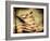 Backslide-Stephen Arens-Framed Photographic Print