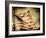 Backslide-Stephen Arens-Framed Photographic Print