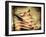 Backslide-Stephen Arens-Framed Photographic Print