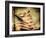 Backslide-Stephen Arens-Framed Photographic Print