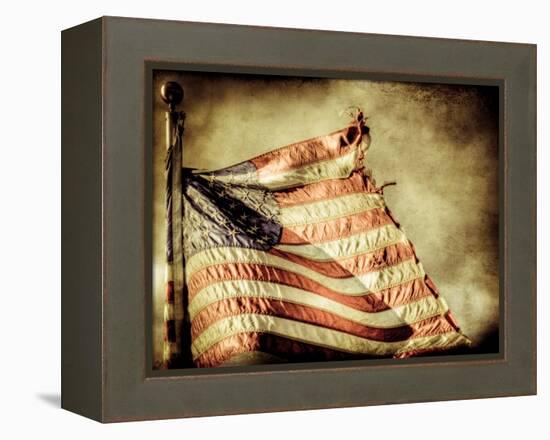 Backslide-Stephen Arens-Framed Premier Image Canvas