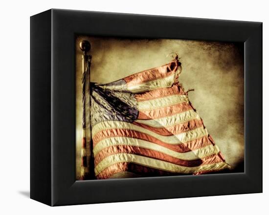 Backslide-Stephen Arens-Framed Premier Image Canvas