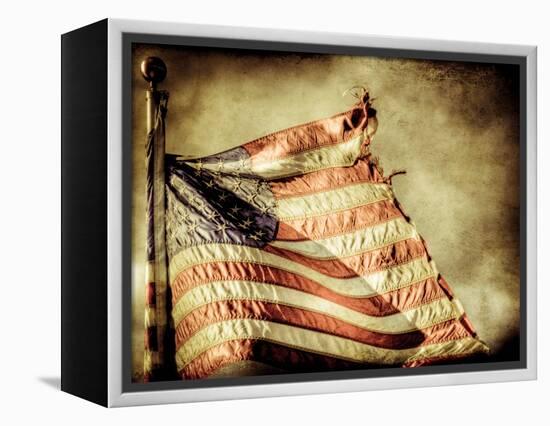 Backslide-Stephen Arens-Framed Premier Image Canvas