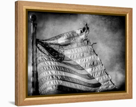 Backslide-Stephen Arens-Framed Premier Image Canvas