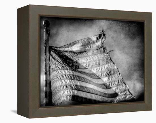 Backslide-Stephen Arens-Framed Premier Image Canvas