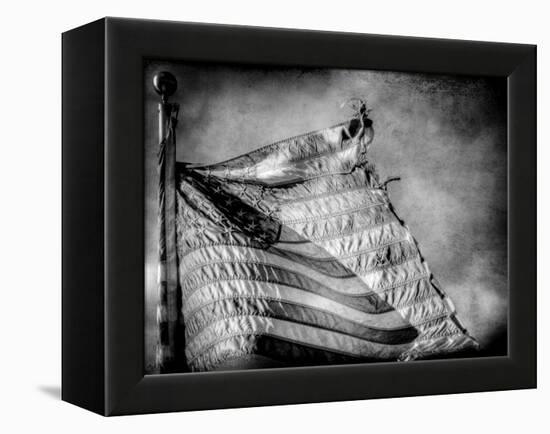 Backslide-Stephen Arens-Framed Premier Image Canvas