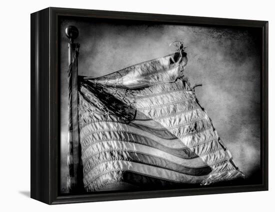 Backslide-Stephen Arens-Framed Premier Image Canvas