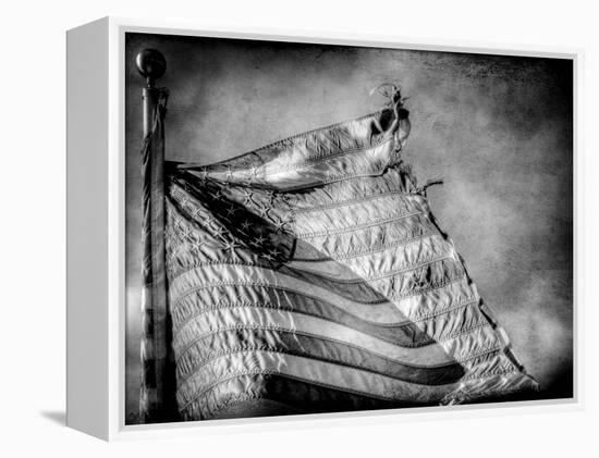 Backslide-Stephen Arens-Framed Premier Image Canvas