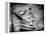 Backslide-Stephen Arens-Framed Premier Image Canvas