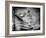 Backslide-Stephen Arens-Framed Photographic Print