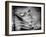 Backslide-Stephen Arens-Framed Photographic Print