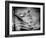 Backslide-Stephen Arens-Framed Photographic Print