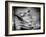 Backslide-Stephen Arens-Framed Photographic Print