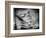 Backslide-Stephen Arens-Framed Photographic Print