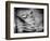 Backslide-Stephen Arens-Framed Photographic Print