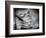 Backslide-Stephen Arens-Framed Photographic Print