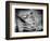 Backslide-Stephen Arens-Framed Photographic Print