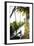 Backwaters Near North Paravoor, Kerala, India, South Asia-Ben Pipe-Framed Photographic Print