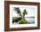 Backwaters Near North Paravoor, Kerala, India, South Asia-Ben Pipe-Framed Photographic Print