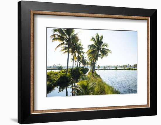 Backwaters Near North Paravoor, Kerala, India, South Asia-Ben Pipe-Framed Photographic Print