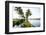 Backwaters Near North Paravoor, Kerala, India, South Asia-Ben Pipe-Framed Photographic Print