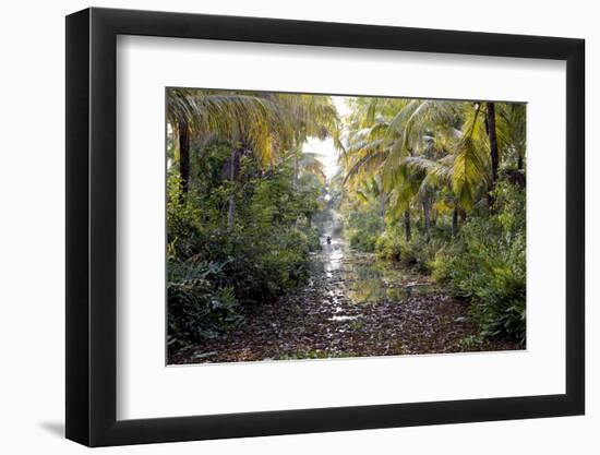 Backwaters, Vaikom, Kerala, India, Asia-Balan Madhavan-Framed Photographic Print