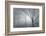 Backwoods Mist-Doug Chinnery-Framed Photographic Print