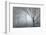 Backwoods Mist-Doug Chinnery-Framed Photographic Print