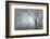 Backwoods Mist-Doug Chinnery-Framed Photographic Print