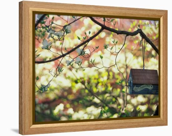 Backyard Bird Feeder, Birdhouse and Spring Flowers-Gayle Harper-Framed Premier Image Canvas