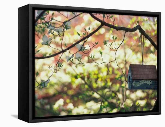 Backyard Bird Feeder, Birdhouse and Spring Flowers-Gayle Harper-Framed Premier Image Canvas