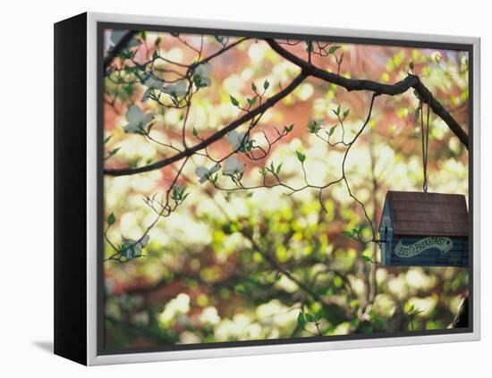Backyard Bird Feeder, Birdhouse and Spring Flowers-Gayle Harper-Framed Premier Image Canvas