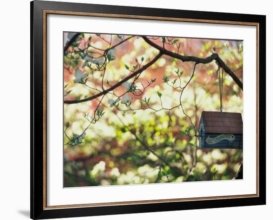 Backyard Bird Feeder, Birdhouse and Spring Flowers-Gayle Harper-Framed Photographic Print