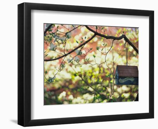 Backyard Bird Feeder, Birdhouse and Spring Flowers-Gayle Harper-Framed Photographic Print