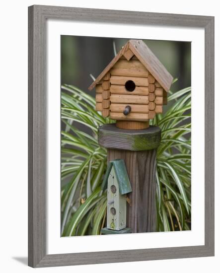 Backyard Birdhouse-Chuck Haney-Framed Photographic Print