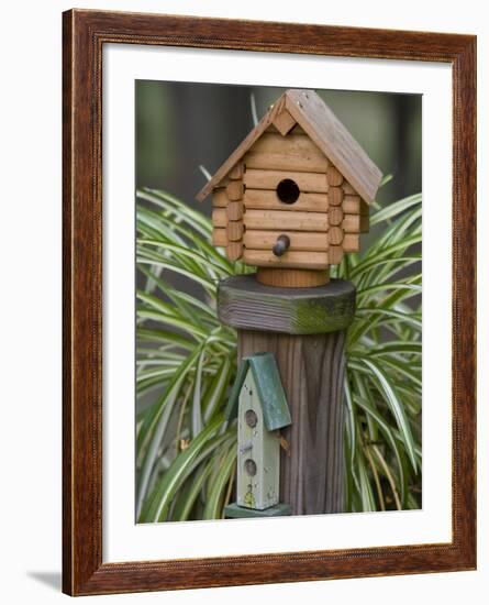 Backyard Birdhouse-Chuck Haney-Framed Photographic Print