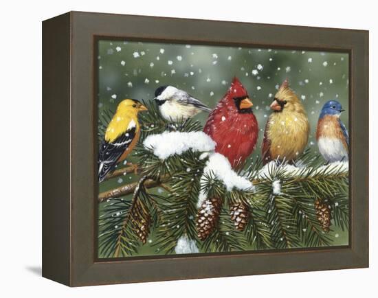 Backyard Birds on Snowy Branch-William Vanderdasson-Framed Premier Image Canvas