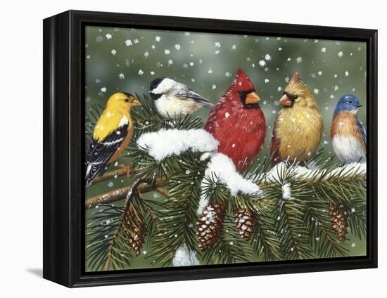 Backyard Birds on Snowy Branch-William Vanderdasson-Framed Premier Image Canvas