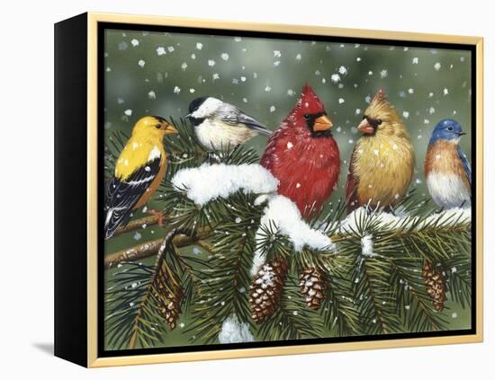Backyard Birds on Snowy Branch-William Vanderdasson-Framed Premier Image Canvas